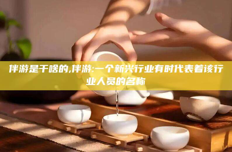 澄迈伴游是干啥的,伴游:一个新兴行业有时代表着该行业人员的名称