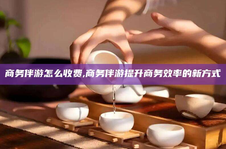 澄迈商务伴游怎么收费,商务伴游提升商务效率的新方式