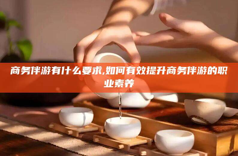 澄迈商务伴游有什么要求,如何有效提升商务伴游的职业素养